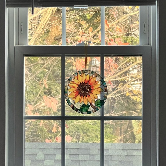 Meet your Posher, Runa Rose 🦊 - Picture 8 of 8